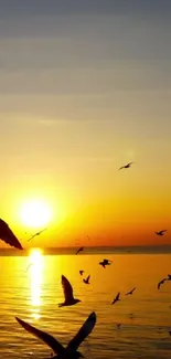 A golden sunset with birds over a tranquil ocean.