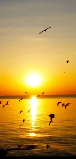 Golden sunset over ocean with birds silhouetted against the sky.