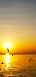 Golden sunset over ocean with flying birds in silhouette.