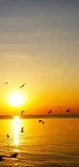 Golden sunset over ocean with flying birds.