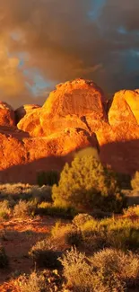 Golden sunset casting light over rocky hills and vegetation.