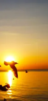 Golden sunset over a calm lake with birds in silhouette.