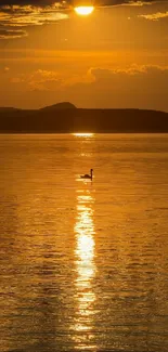 A swan glides on a golden sunset-lit lake.