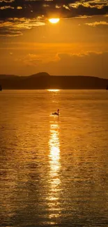 Golden sunset over a lake with a swan and sailboats.