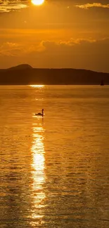 Golden sunset over a lake with a swan silhouette.