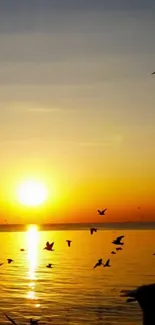 Golden sunset over ocean with birds in flight.