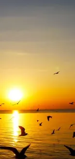 Golden sunset over ocean with flying birds.