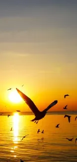 Golden sunset over a tranquil sea with birds flying.