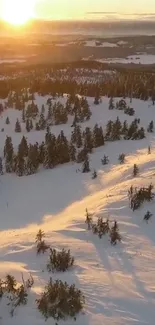 Golden sunset over a snowy forest landscape with pine trees.