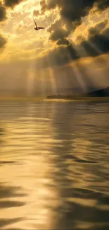 Golden sunset with sunlight rays over a tranquil lake and distant hills.