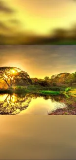 Golden sunset over tranquil lake with tree reflection on water.