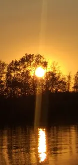 Golden sunset reflecting on a tranquil river with silhouetted trees.