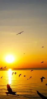 Golden sunset over ocean with birds flying.