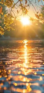 Golden sunset reflecting over a peaceful lake with branches above.