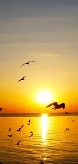 Golden sunset with birds flying over a calm ocean.