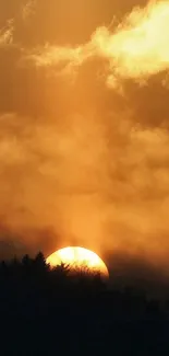 Golden sunset with silhouetted trees and dramatic sky.