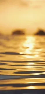 Golden sunlight reflecting on calm water during sunset.