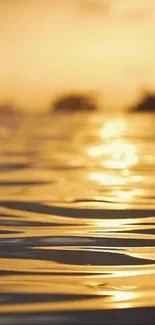 Golden sunset reflecting on rippling water surface, creating a serene ambiance.