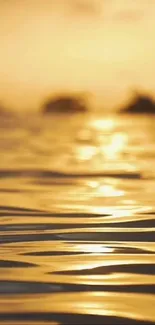 Golden sunset reflecting over calm water surface.