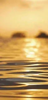 Golden sunset reflecting over tranquil water surface.