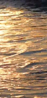 Golden sunlight reflecting on rippling water surface.