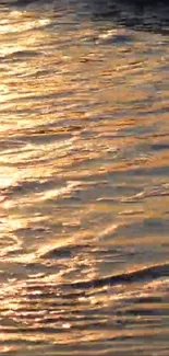 Golden sunset reflection on gentle rippling water surface.