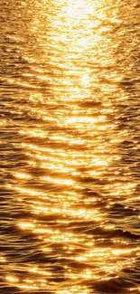 Golden sunset reflecting on calm waters creating a serene and peaceful mobile wallpaper.