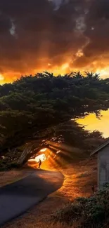 Golden sunset on a tree-lined road with silhouetted hiker.