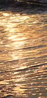 Golden sunset reflection on sea surface, exuding tranquility and warmth.