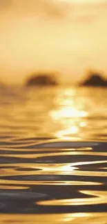 Golden sunset reflecting over calm water surface, creating a tranquil scene.