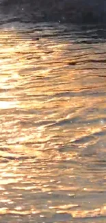 Golden sunset light reflecting on rippling water creating a serene mobile wallpaper.