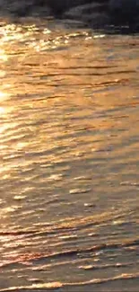 Golden sunset reflecting on water surface, creating serene visuals.