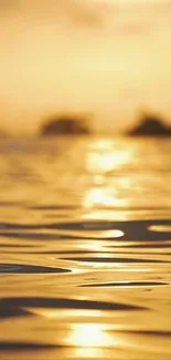 Golden sunset reflecting over tranquil water surface.