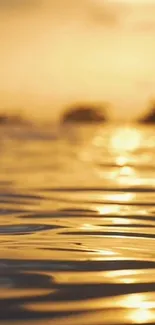 Golden sunset reflecting on calm water surface.