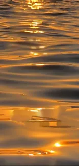 Golden sunset reflecting on water with shimmering waves.