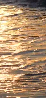 Golden sunset reflecting on calm water surface, perfect for wallpapers.