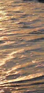 Golden water ripples under sunset light create a tranquil mobile wallpaper.