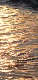 Shimmering golden sunset reflecting on rippling water surface.