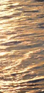 Golden sunlight reflecting on rippling water, creating a calming texture.