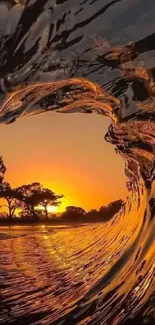 Golden sunset wave crashing with reflection of trees.