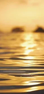 Golden sunset reflecting on gentle waves.