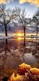 Golden sunset reflecting over icy winter landscape with bare trees and vibrant sky.