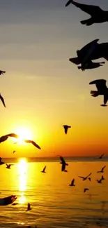 Birds flying over a golden sunset sea.