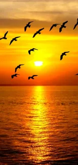 Golden sunset over ocean with birds flying in the sky.