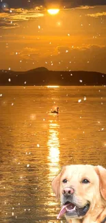 Golden retriever by sunset with snowflakes falling over calm water.