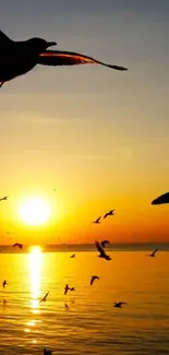 Golden sunset with birds flying over a tranquil sea.