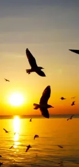 Silhouettes of birds flying across an orange sunset over the ocean.