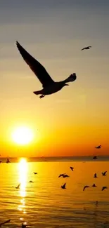 Golden sunset with seagulls flying over the ocean.