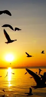 Seagulls flying over the ocean during a golden sunset.