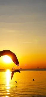 Seagulls flying at sunset over a golden ocean view.